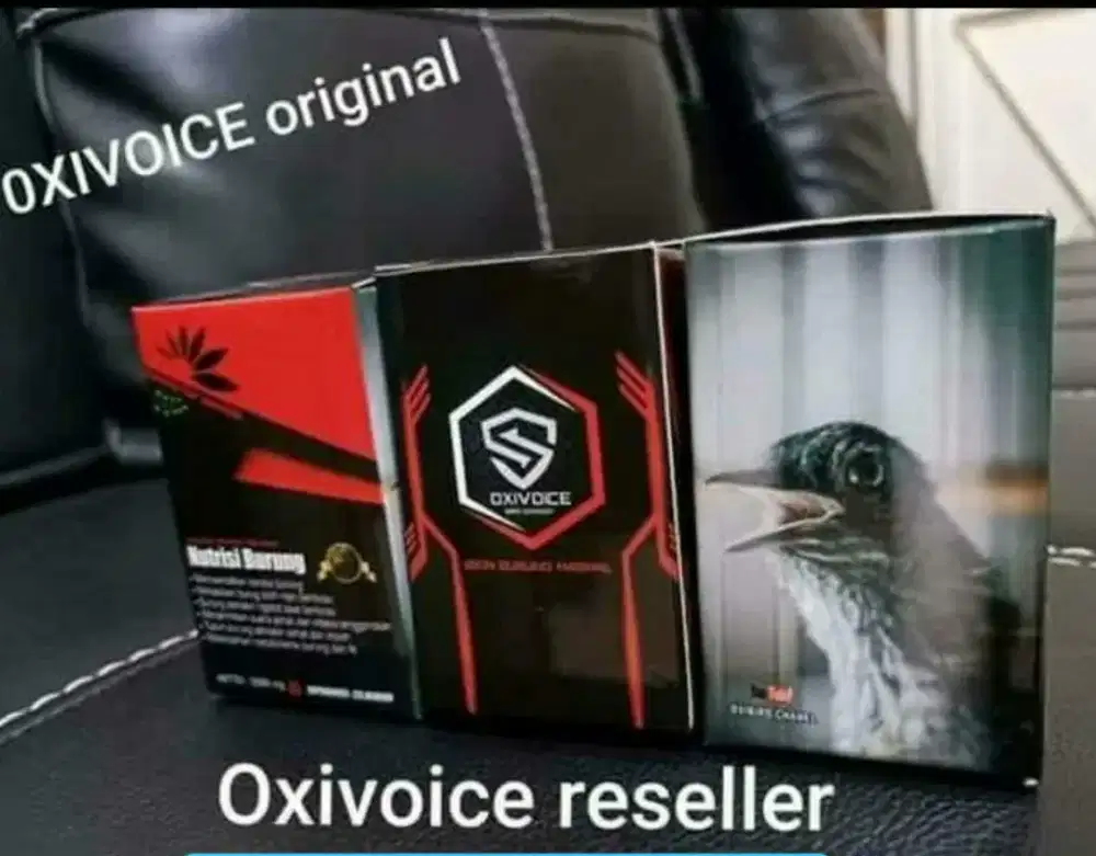 OXIVOICE ENERGY murai kacer ijo kenari langsung gacor