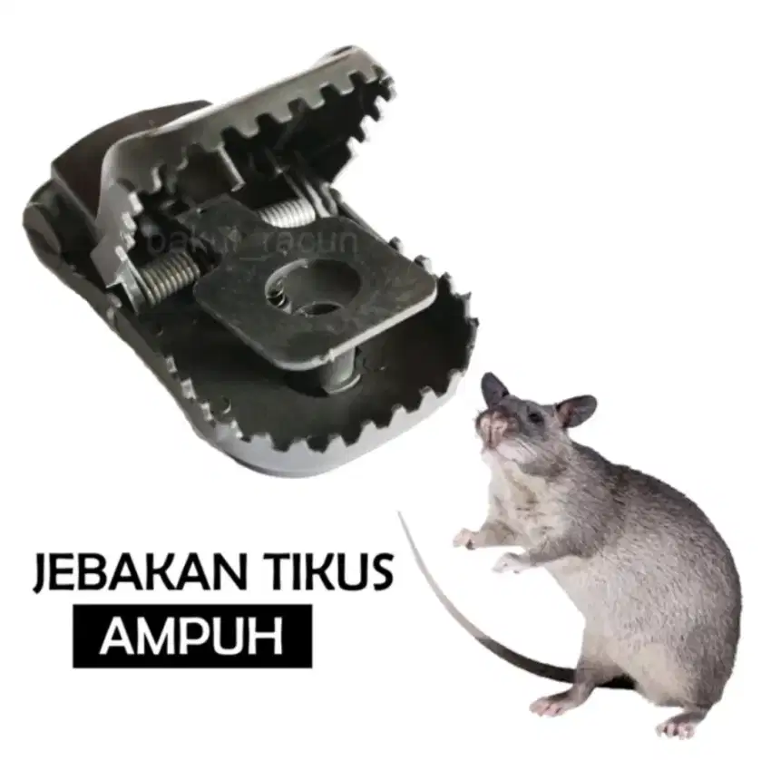 Perangkap Tikus