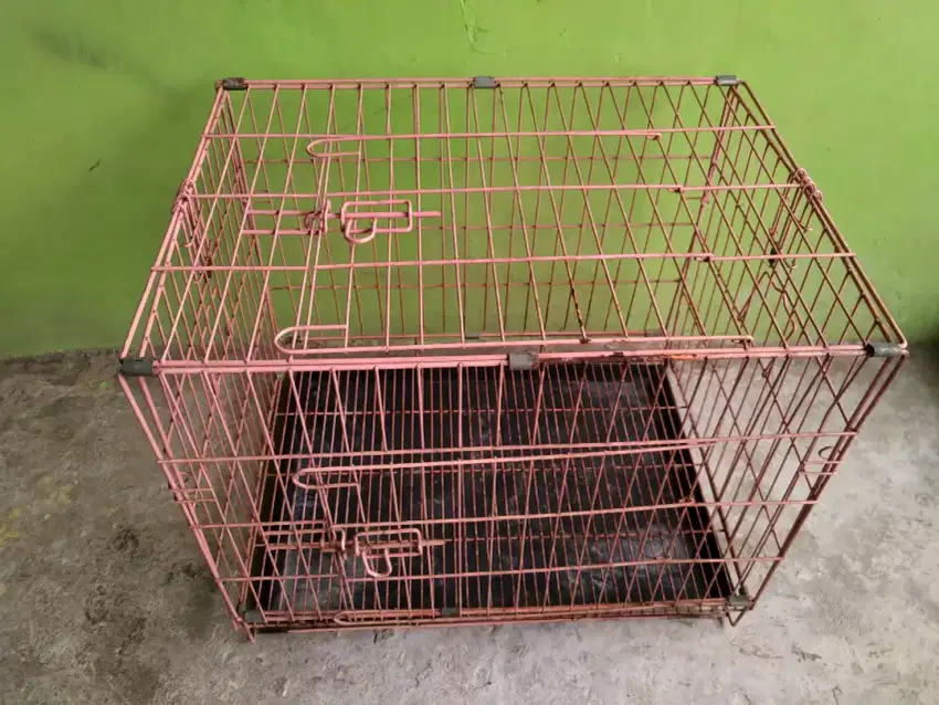 Kandang Kucing dan kargo XL