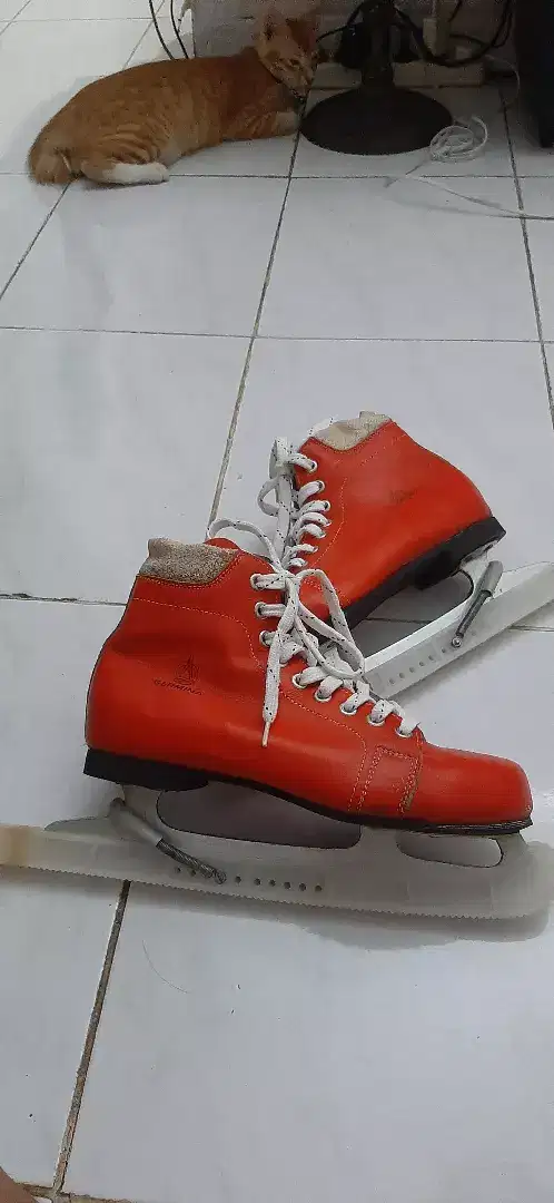 Sepatu ice skating dewasa