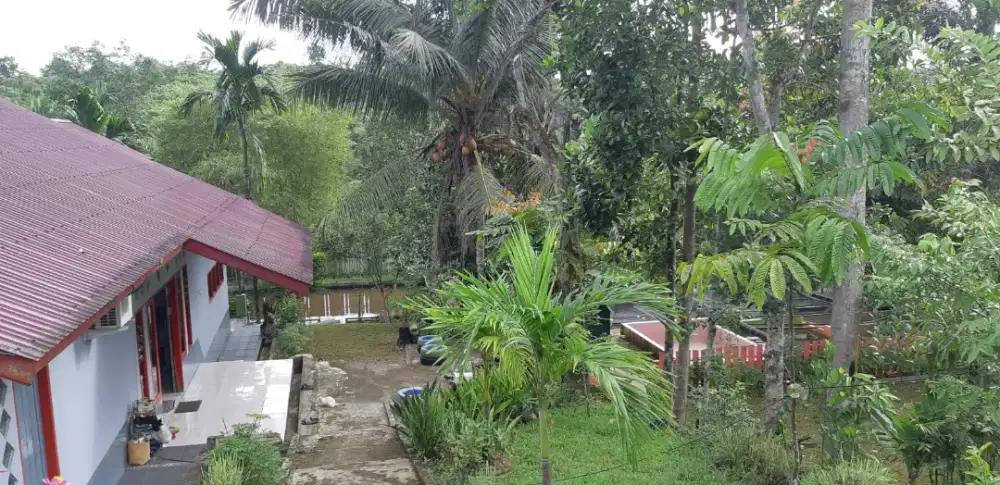 Rumah & Tanah luas di Kariangau