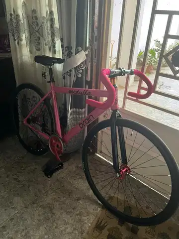 Frame fixie brain hot sale