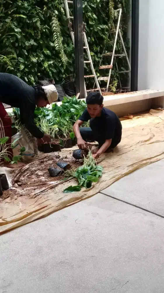 Tukang taman dan perawatan kebun amanah,