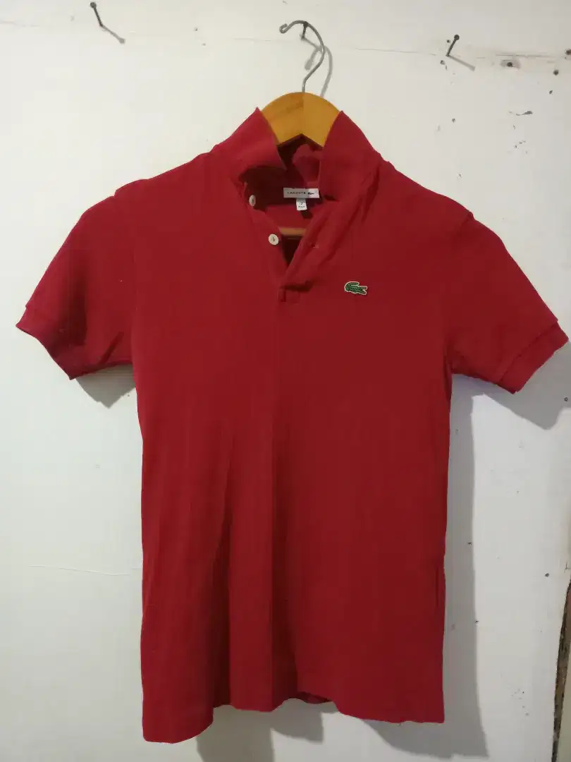 T-shirt polo LACOSTE size 12