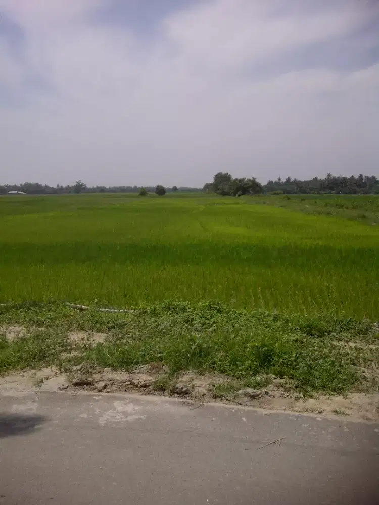 Di Jual Tanah Pantai Labu Dekat Bandara Kuala Namu