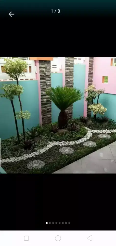 Tukang taman_Jual pohon kucay mini bikin taman