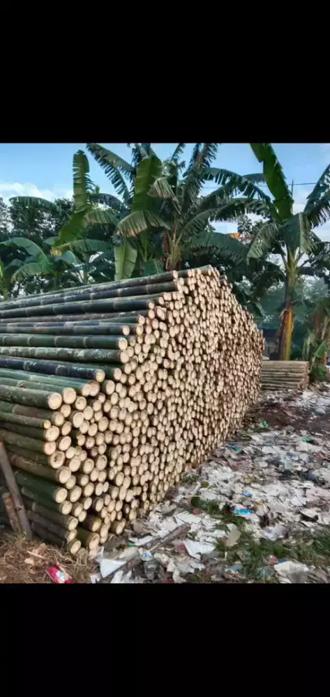 jual bambu steger 8/10