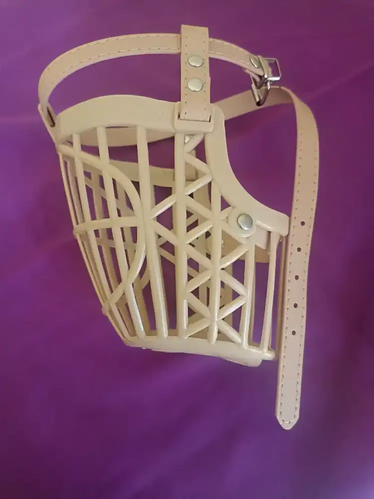 Brangus ukuran medium