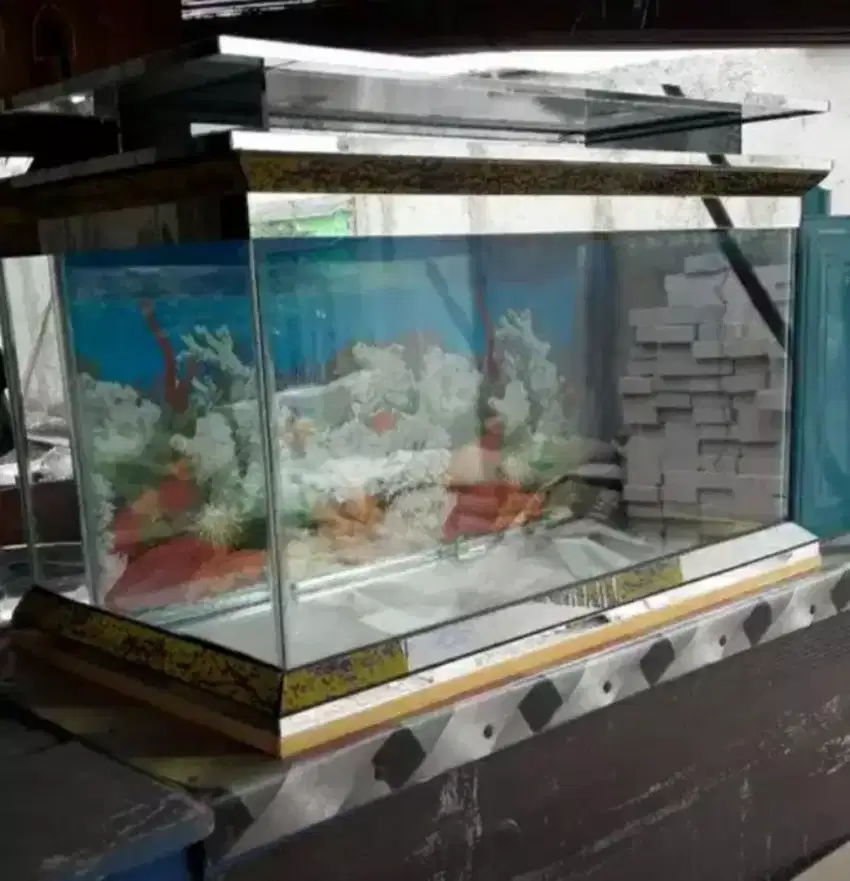 Aquarium fullset 70x35x45