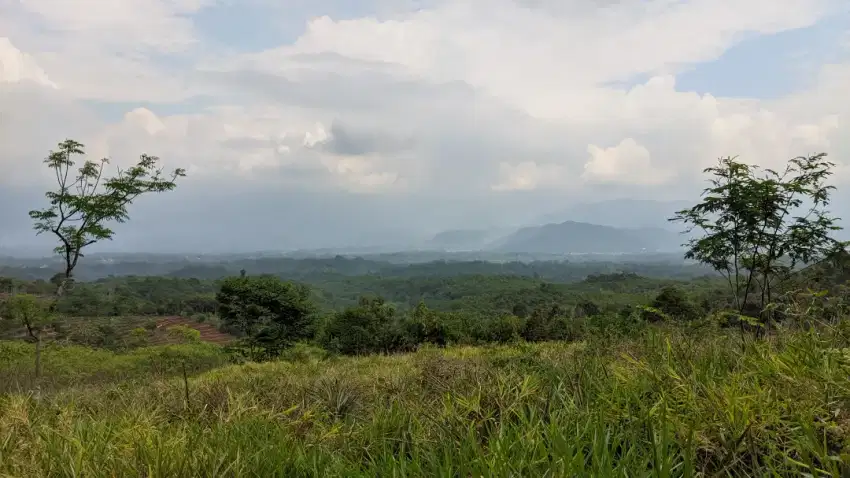 KEBUN BAMBU ||| View Pegunungan Subang Selatan
