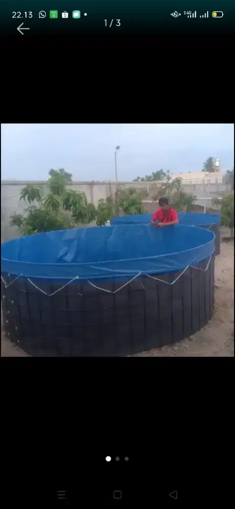 Kolam Terpal Bundar Bioflok Orchid