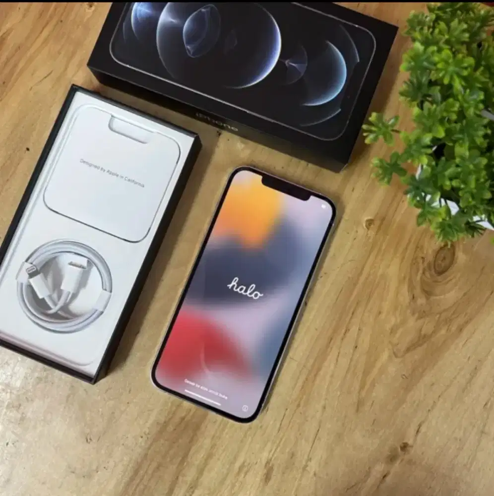 Iphone 12 Pro Max Ibox di Bogor Kota - OLX Murah Dengan Harga Terbaik