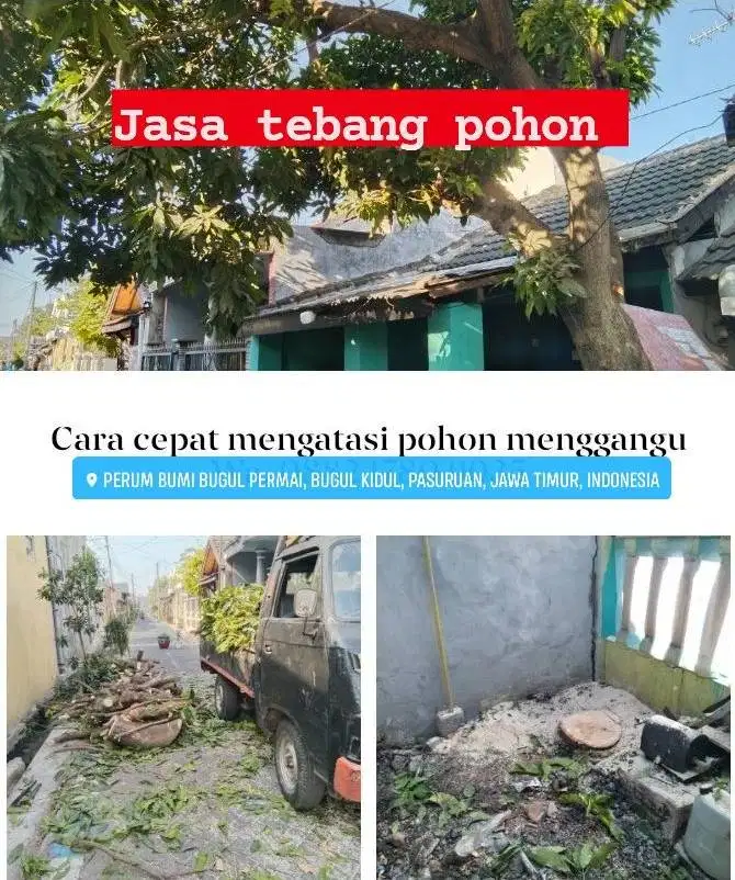 Tebang pohon kota Pasuruan