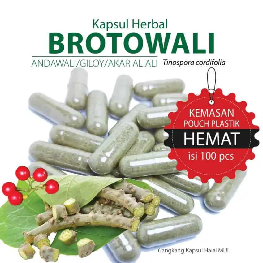 brotowali pasak bumi dll