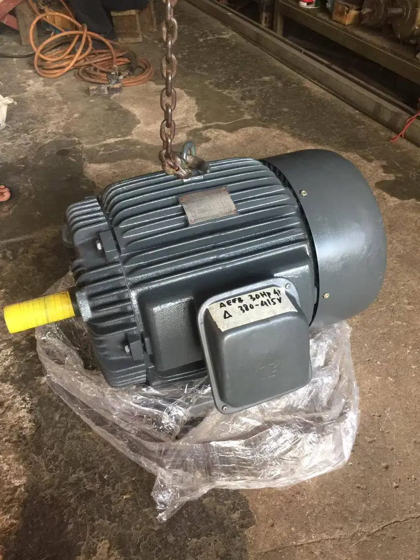 DINAMO TECO 30HP 22KW 4P - ELEKTRO MOTOR - 1450 RPM