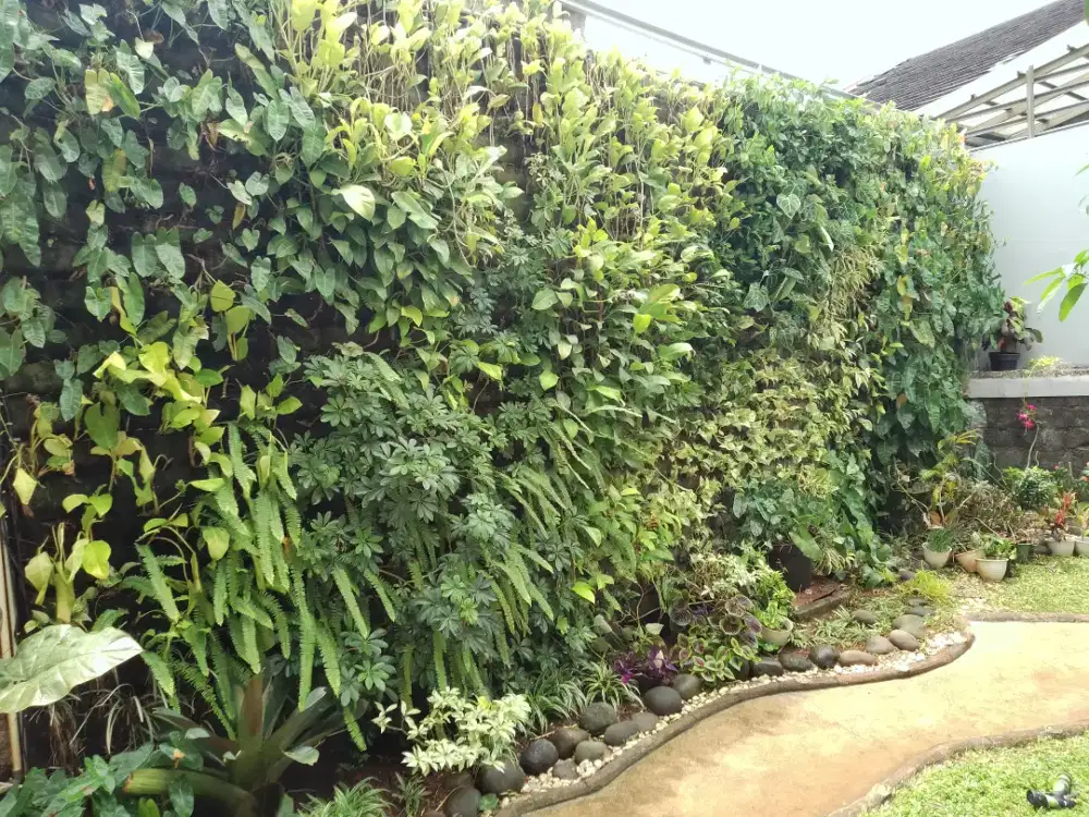 Pembuatan vertikal garden/tukang taman minimalis