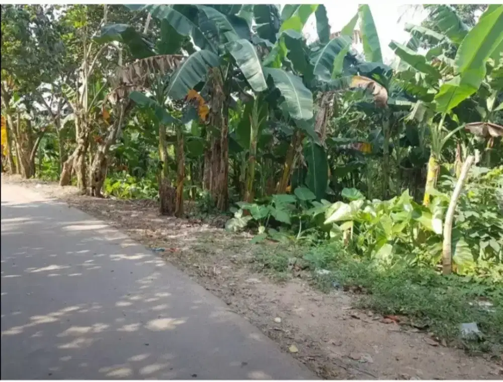 Dijual tanah 100 M  dpn hotel aston ( TT mobil )