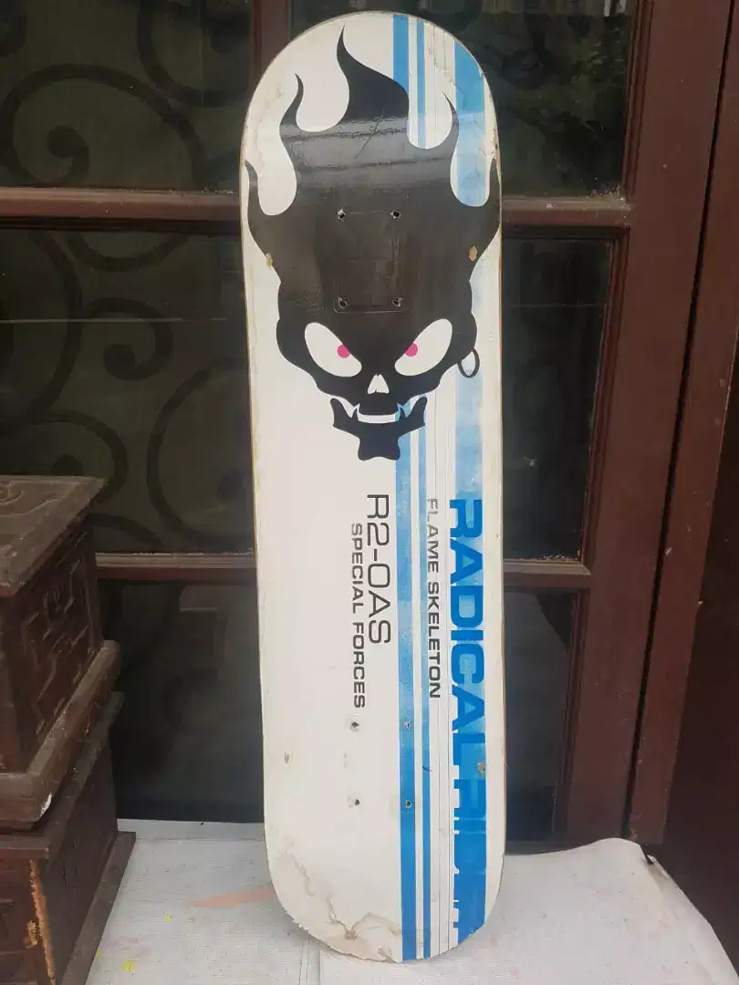 Papan Skateboard