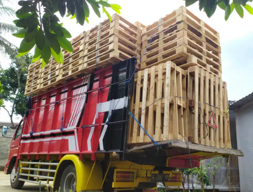 Palet Kayu Jati Belanda / Jati Londo / Pinewood / Pinus Semarang