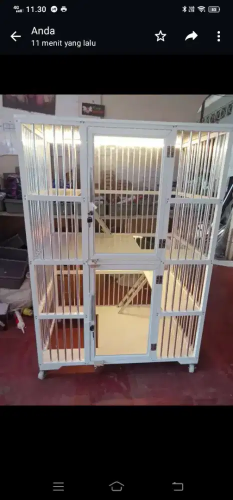 Kandang kucing Cilandak 4