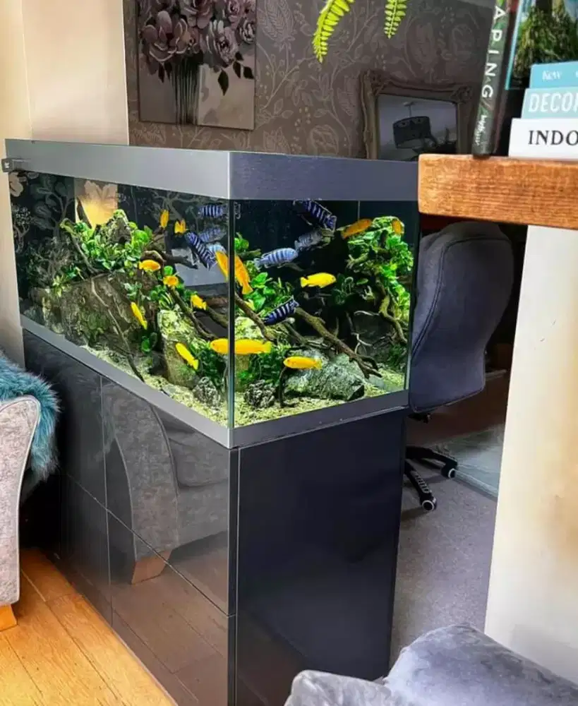 Meja kabinet + aqurium