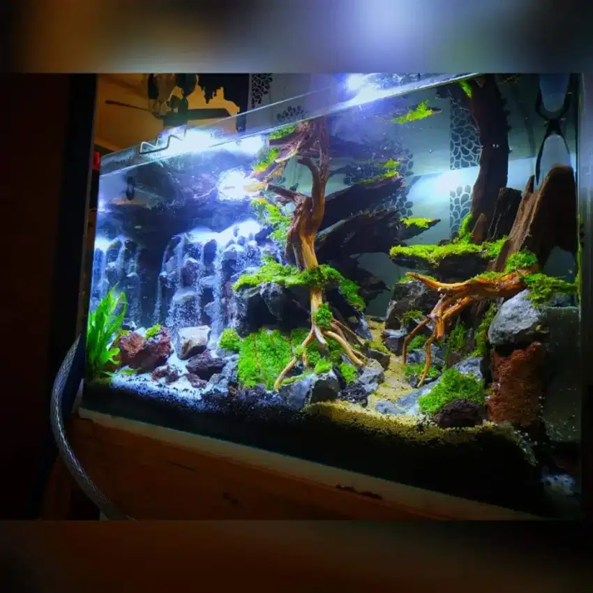 Aquascape Waterfall Spec bagus perawatan mudah dan bisa di antar