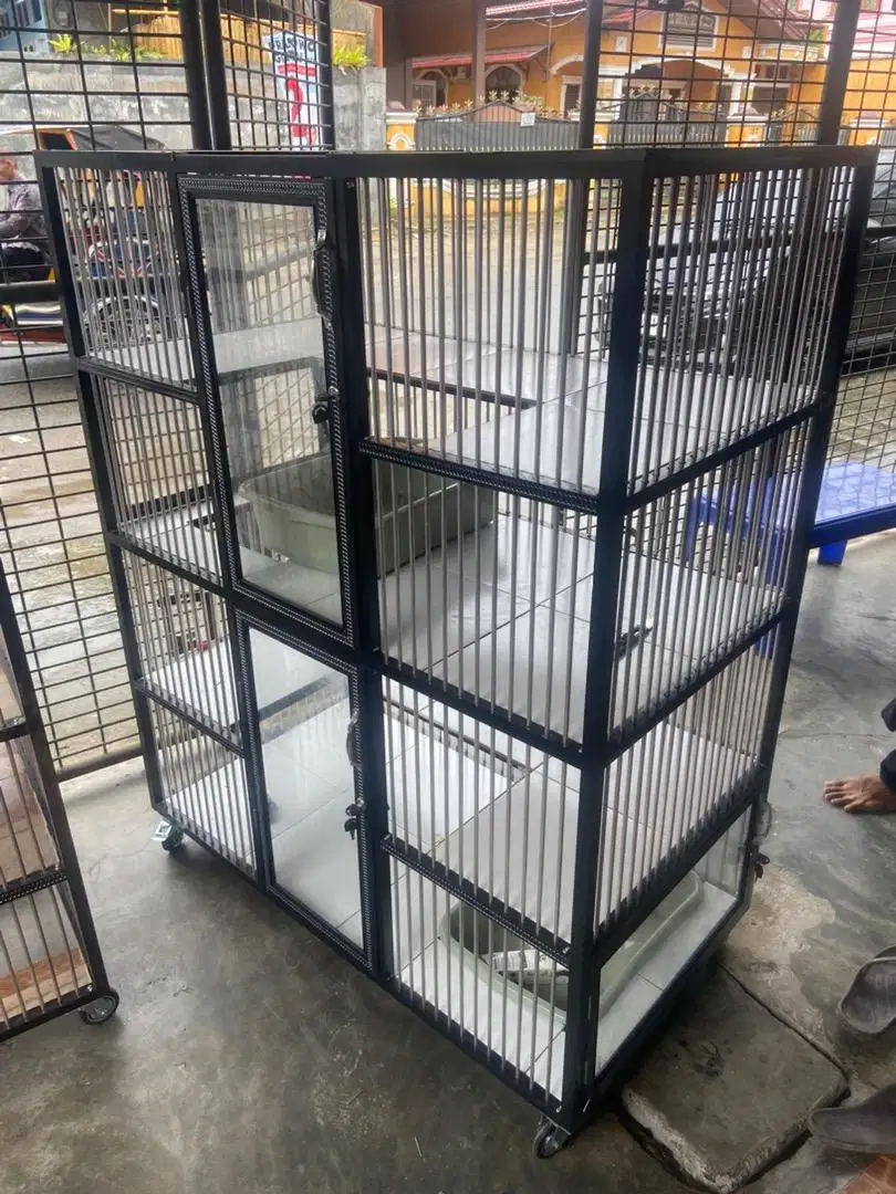 Kandang kucing mantul 2