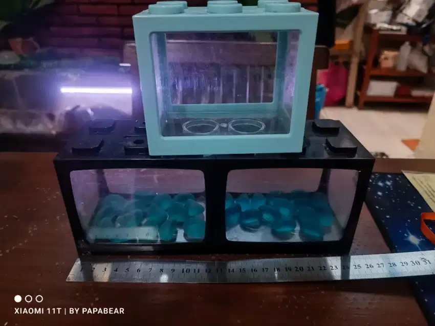 Aquarium mini untuk cupang