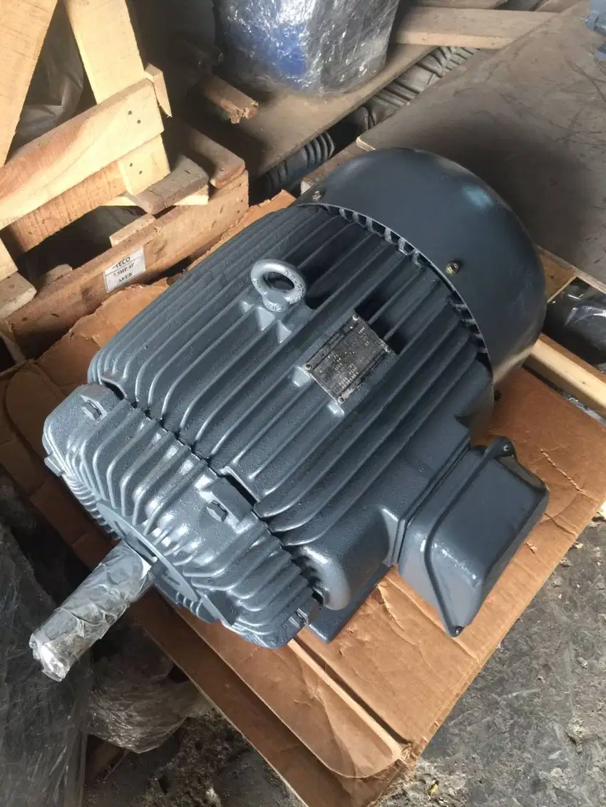 TECO 25hp 4pole - Dinamo Elektro Motor - 25hp 4p rpm 1500