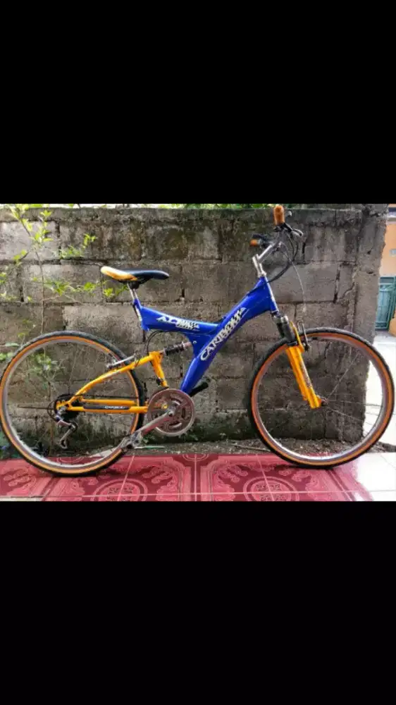 Sepeda  Branded  Klasik Original