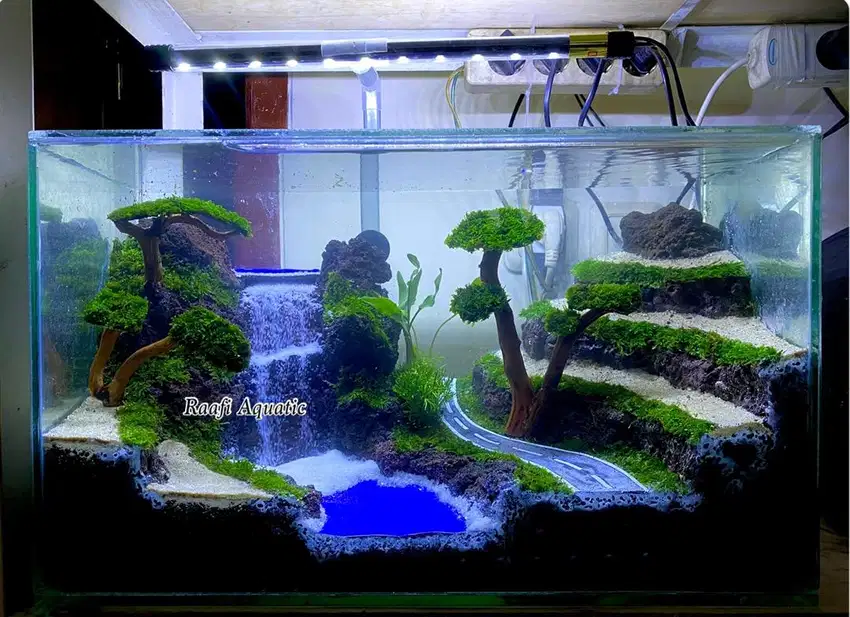 Aquascape new tress mix terasering 2022