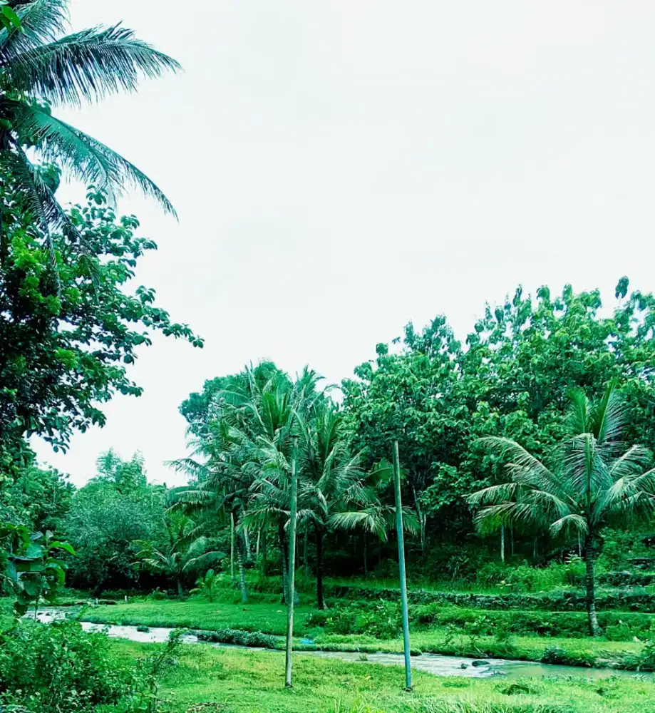 Dijual tanah cocok untuk usaha wisata