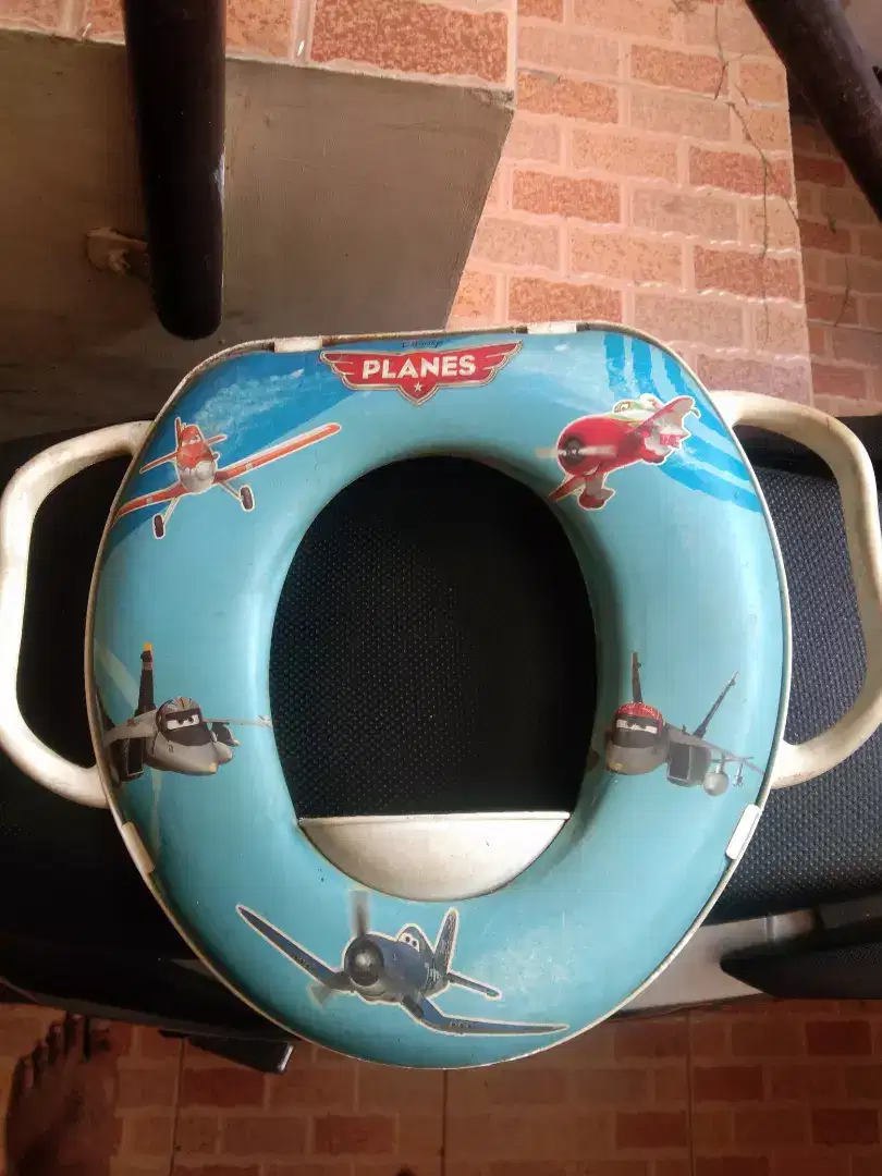 Baby potty seat