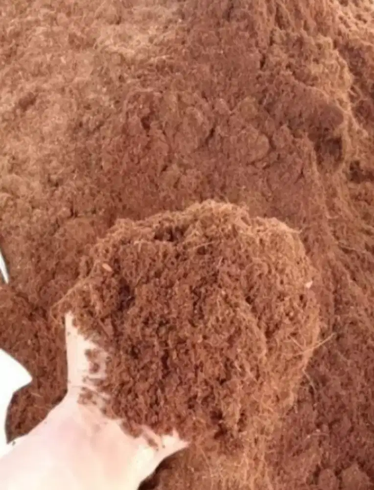 Cocopeat Murah Berkualitas