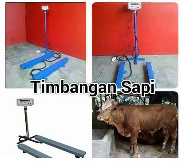 Promo timbangan sapi dan domba digital merk SONIC A1X berkualitas