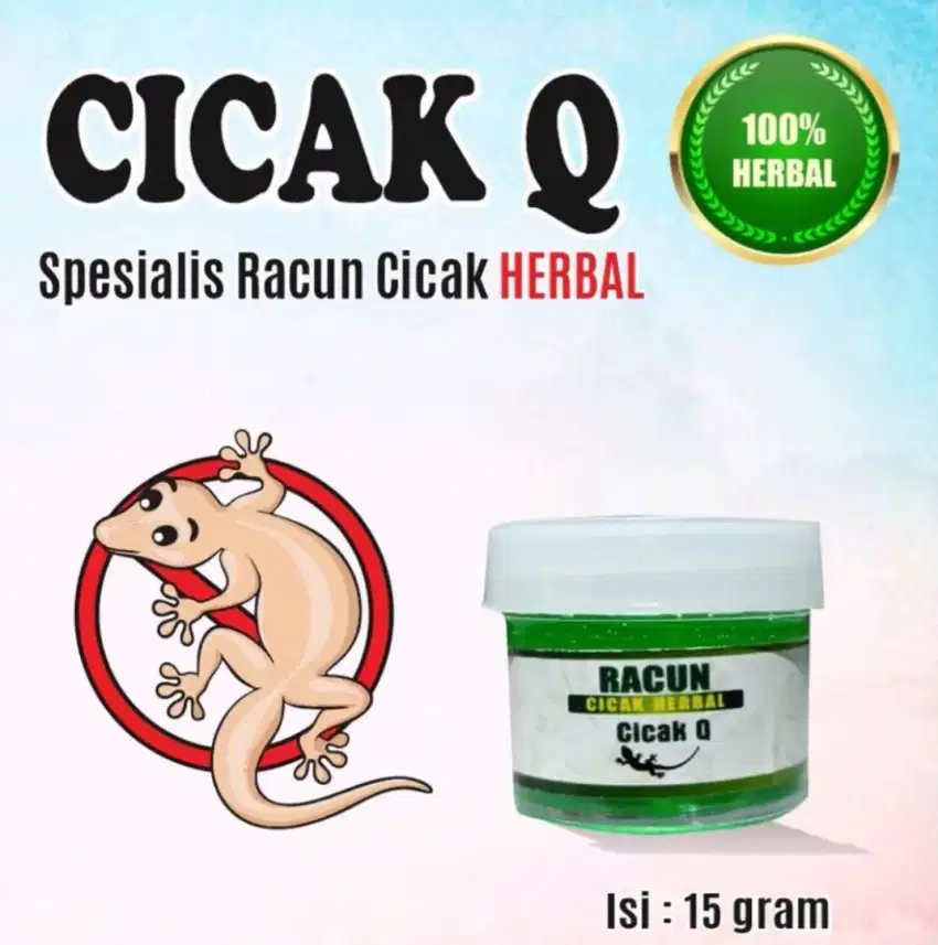 Pembasmi Cicak No. 1