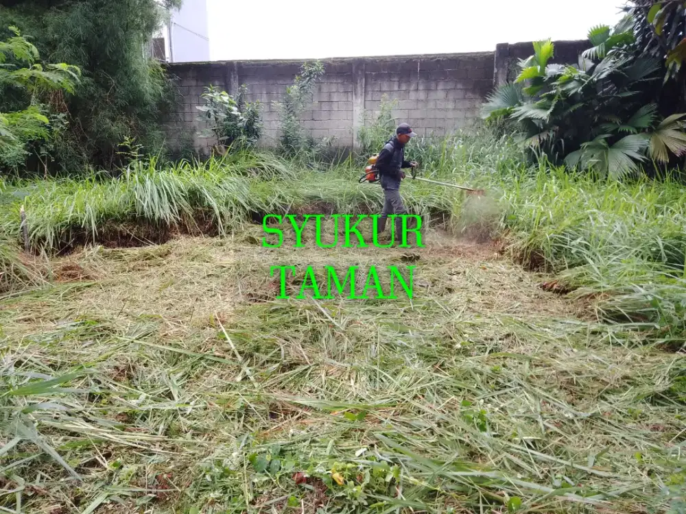 JASA PEMOTONGAN RUMPUT LIAR / JASA POTONG RUMPUT