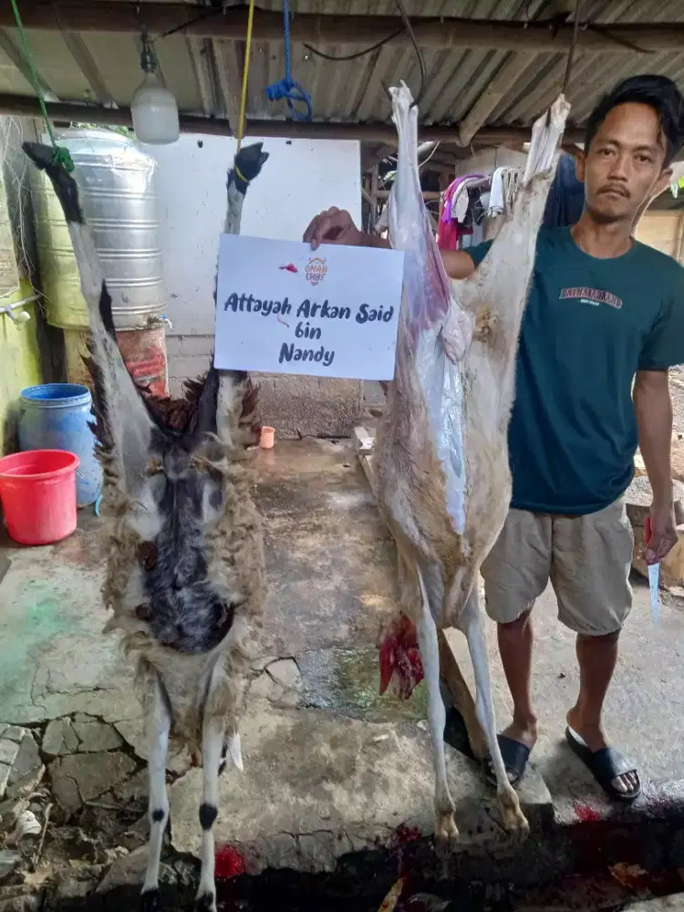 Aqiqah-Qurban-kambing guling dll