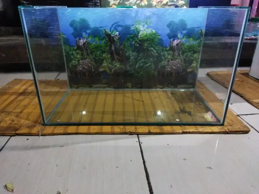 Aquarium BARU 60*30*35