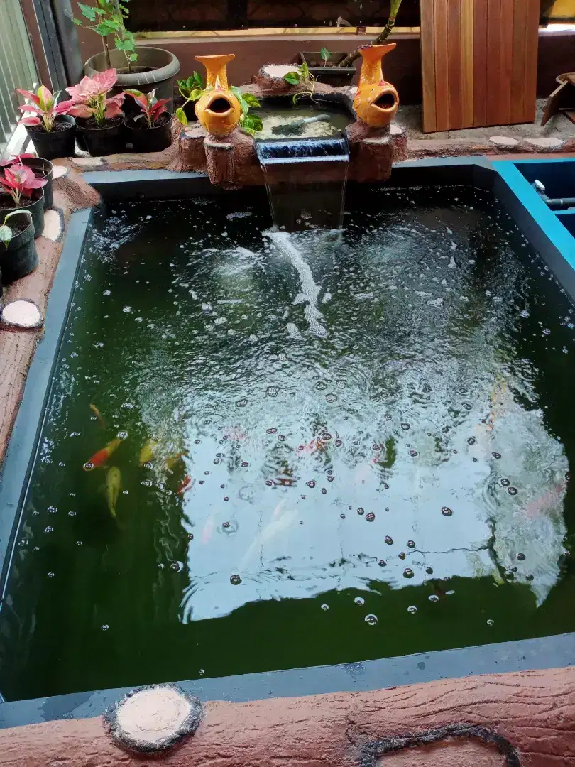 Kolam koi bermotif kayu