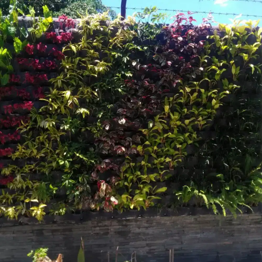 Vega,vertical garden