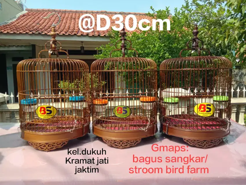 Sangkar bambu wamin Robin dan burcil
