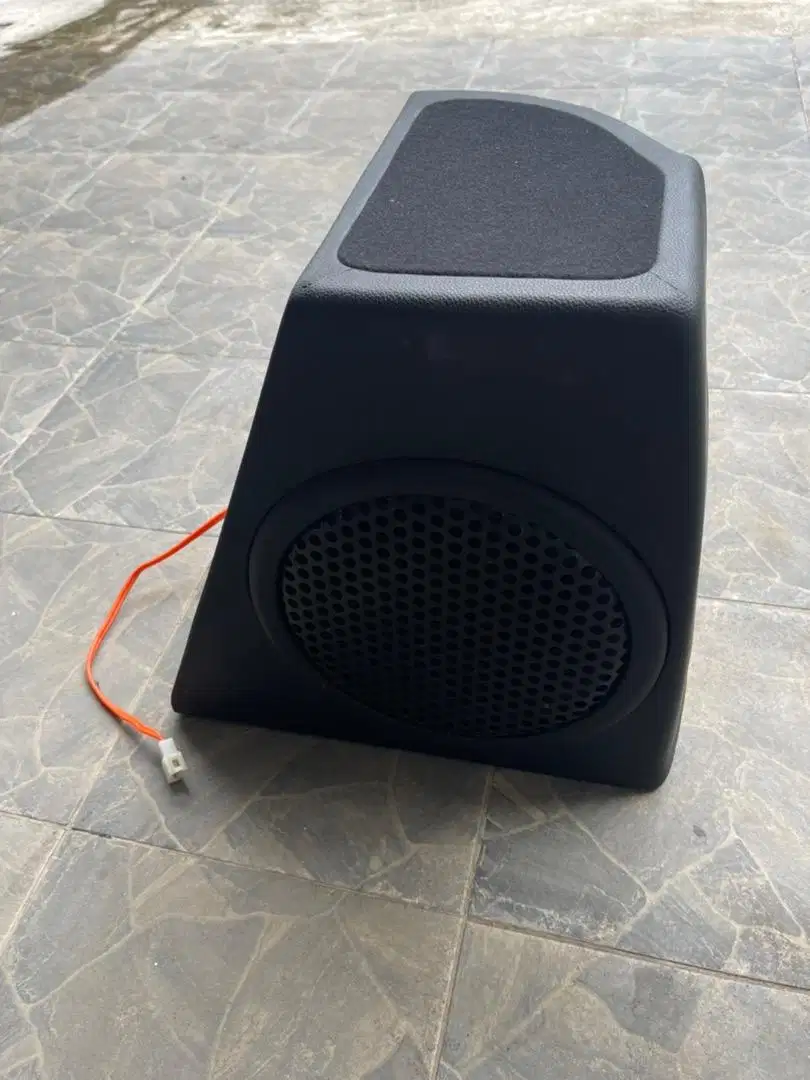 Subwoofer 10 Inch Reverb