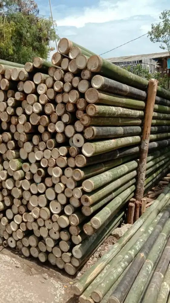 jual kaso dan bambu steger