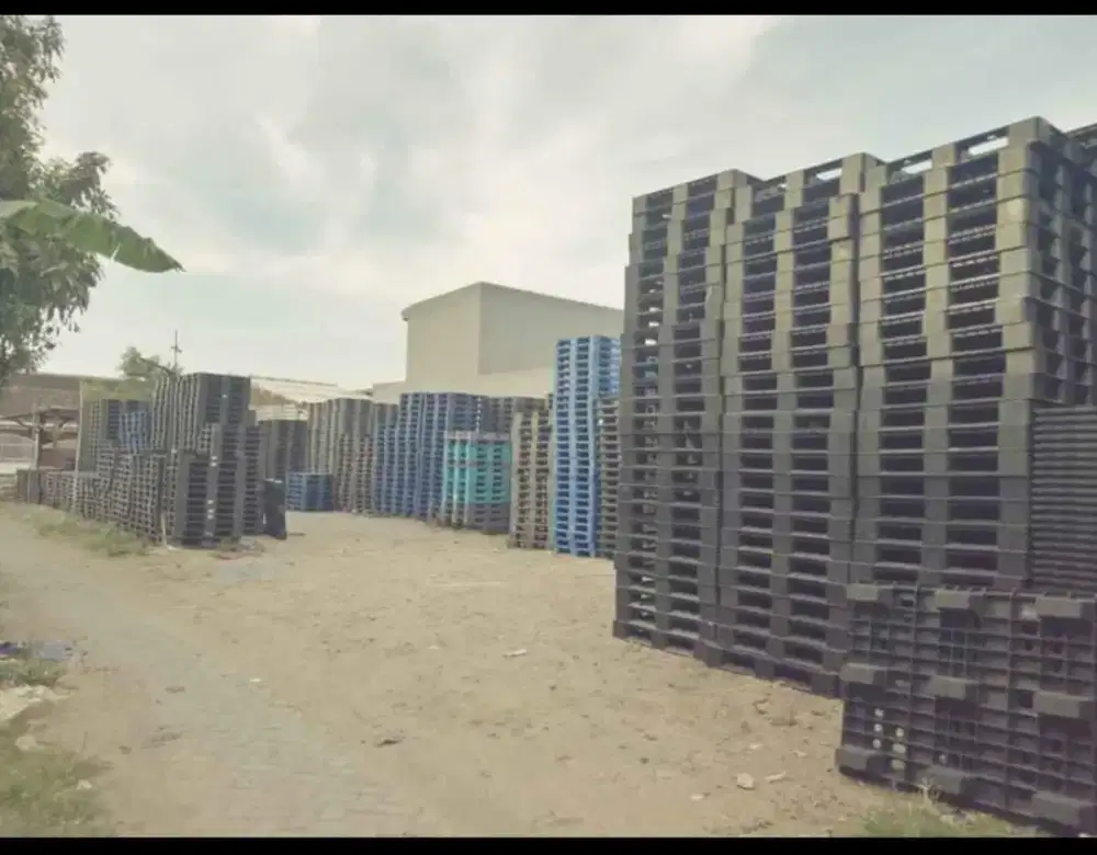 palet plastik bekas dan baru