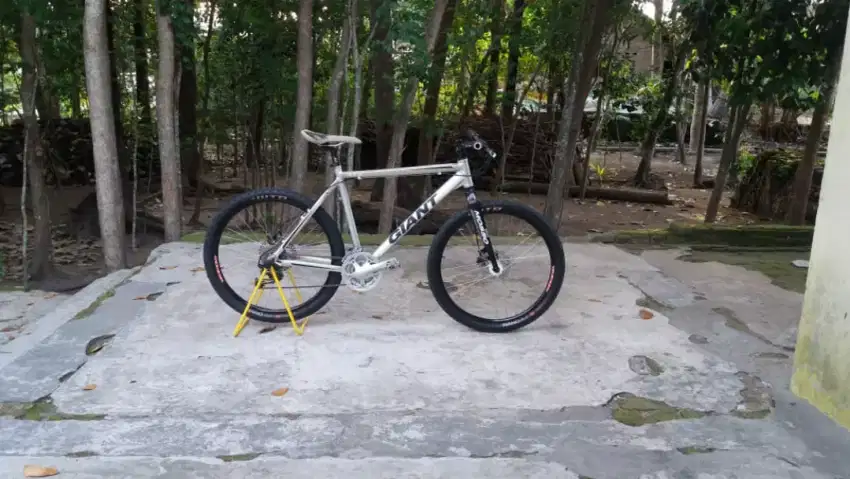 Fulbike giant rakitan size.L