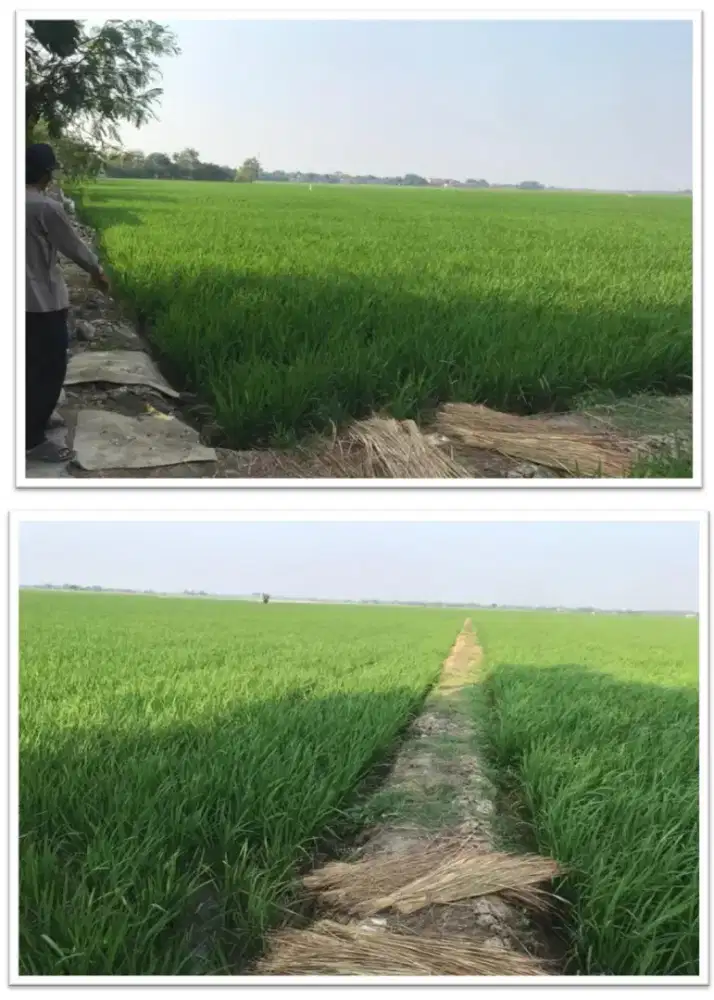 Dijual tanah strategis harga NEGO