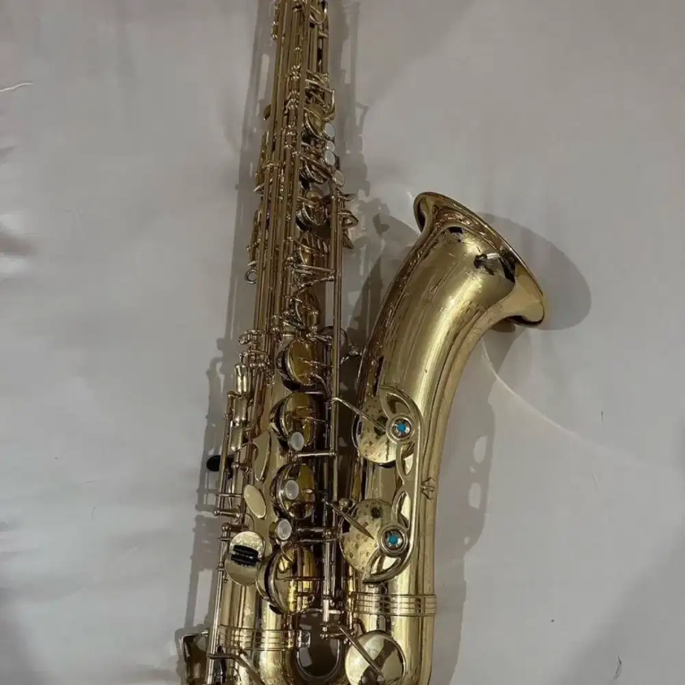 Jual Beli Saxophone Dan Service alat musik tiup