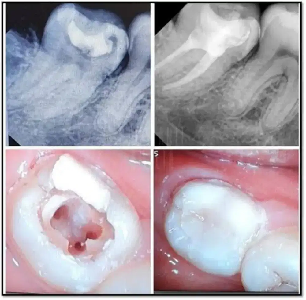 Dental House Tomang, Praktek Dokter Gigi Spesialis Keluarga