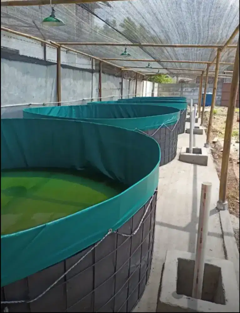 Terpal bundar kolam ikan